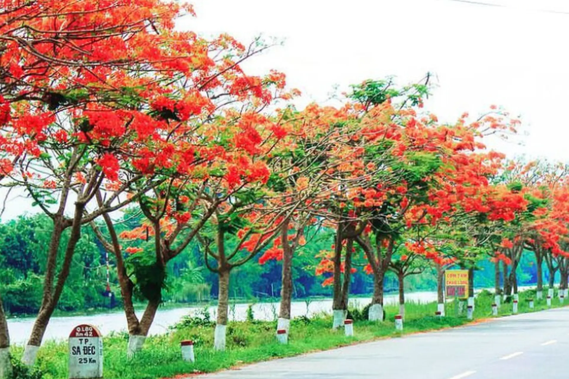 Xã Mỹ Hiệp của Đồng Tháp sau sáp nhập: Hành trình phát triển với bản sắc và tiềm năng riêng