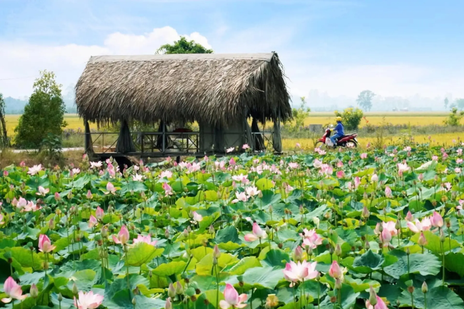 Xã Mỹ Quí của Đồng Tháp sau sáp nhập: Bức tranh phát triển mới đầy tiềm năng