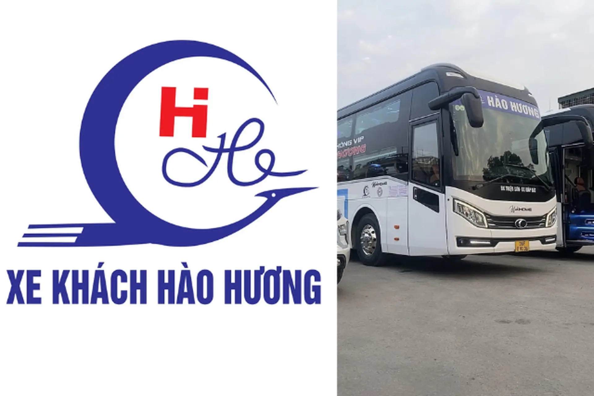Xe Hào Hương: Hướng dẫn tải ứng dụng, đặt vé nhanh và kinh nghiệm đi xe thuận tiện