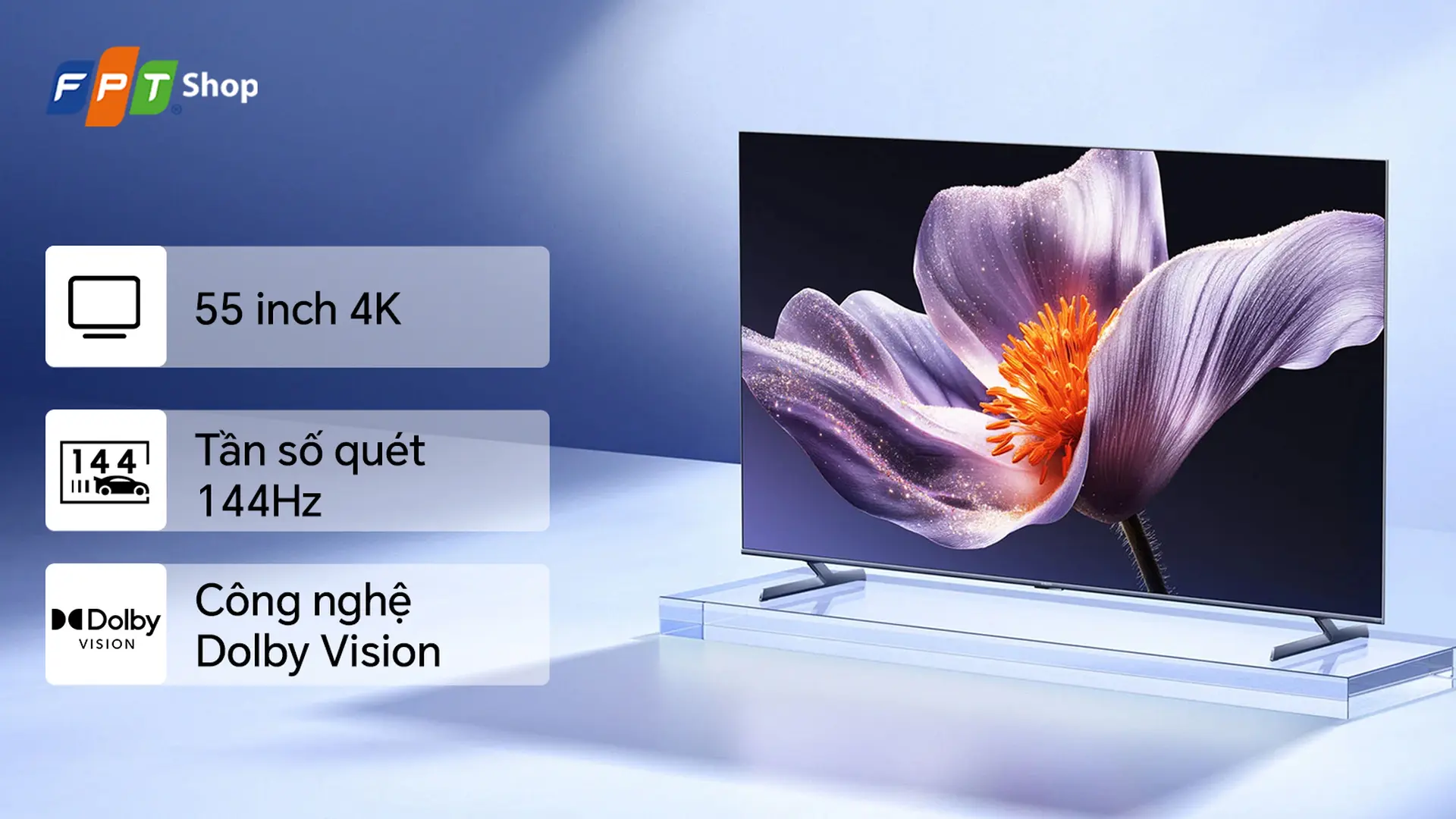 Xiaomi S Pro O32J Google TV MiniLED 55 inch 4K L55MB-SSEA