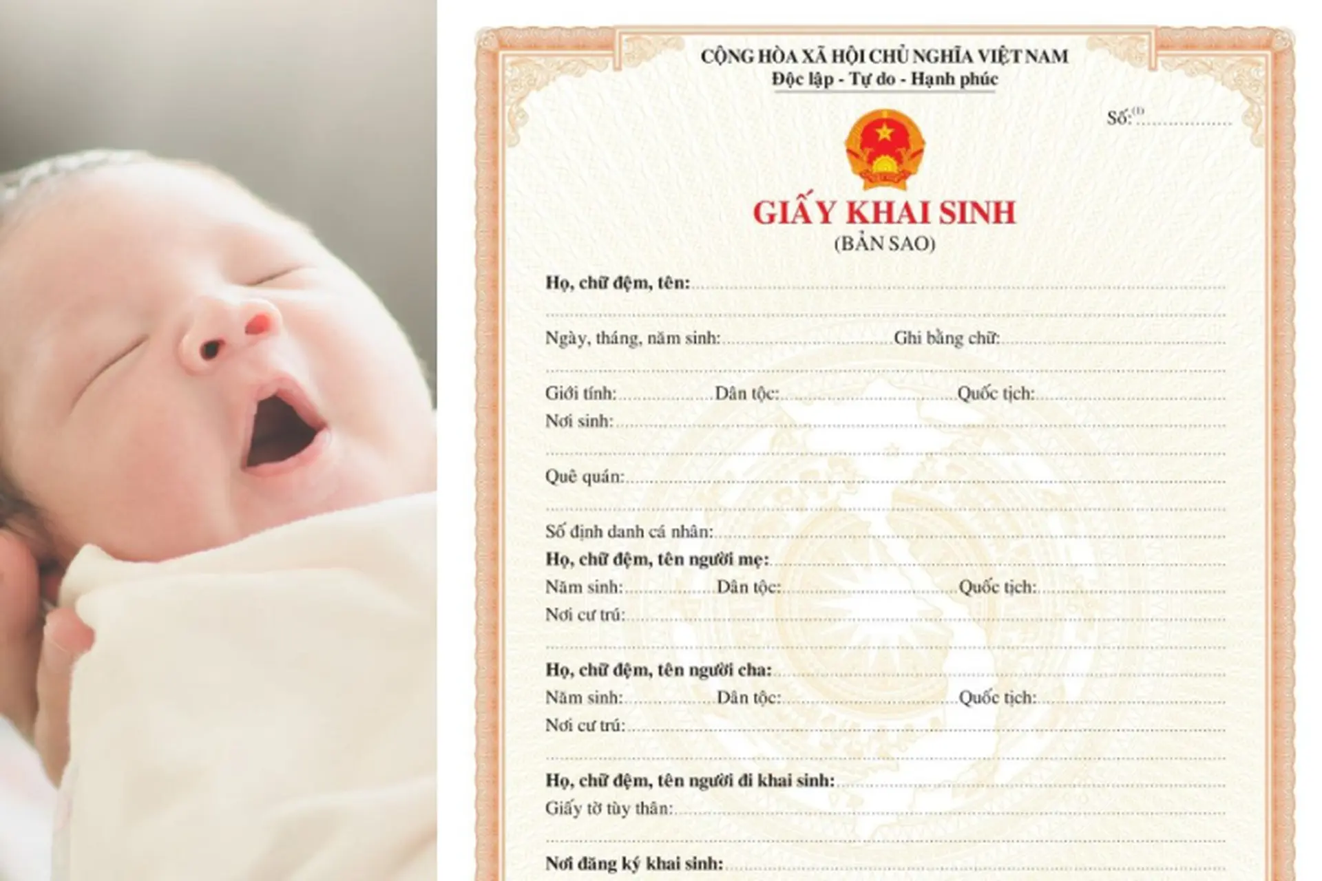 Hướng dẫn xin cấp bản sao giấy khai sinh online nhanh chóng, đơn giản ngay tại nhà