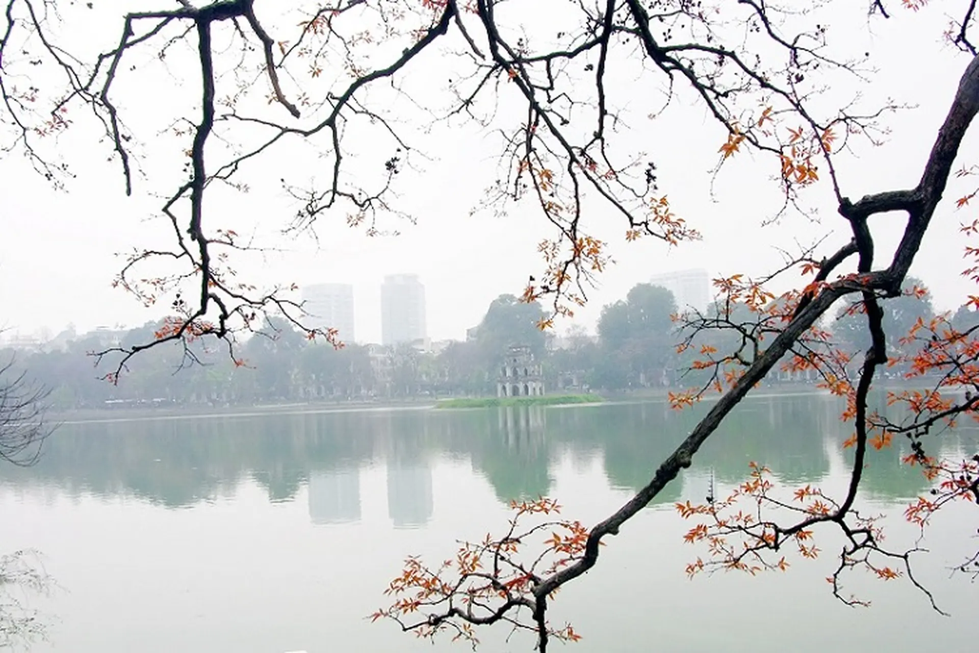 Tiết Xuân Phân là gì? Bắt đầu và kết thúc khi nào? Khí tiết này có ý nghĩa gì đặc biệt trong đời sống và nông nghiệp Việt Nam?