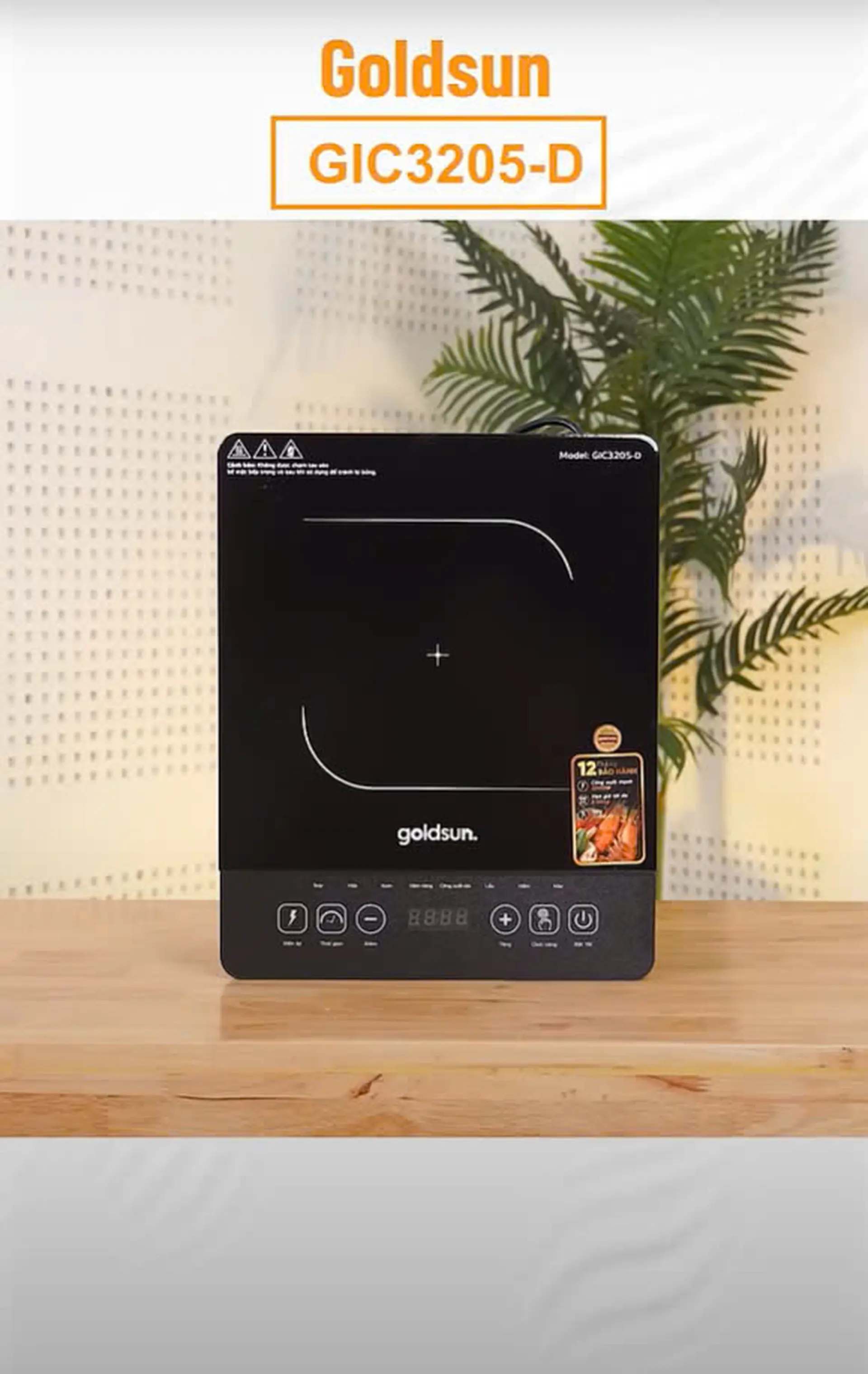 TOP Bếp điện từ đơn cảm ứng Goldsun không nên bỏ qua!