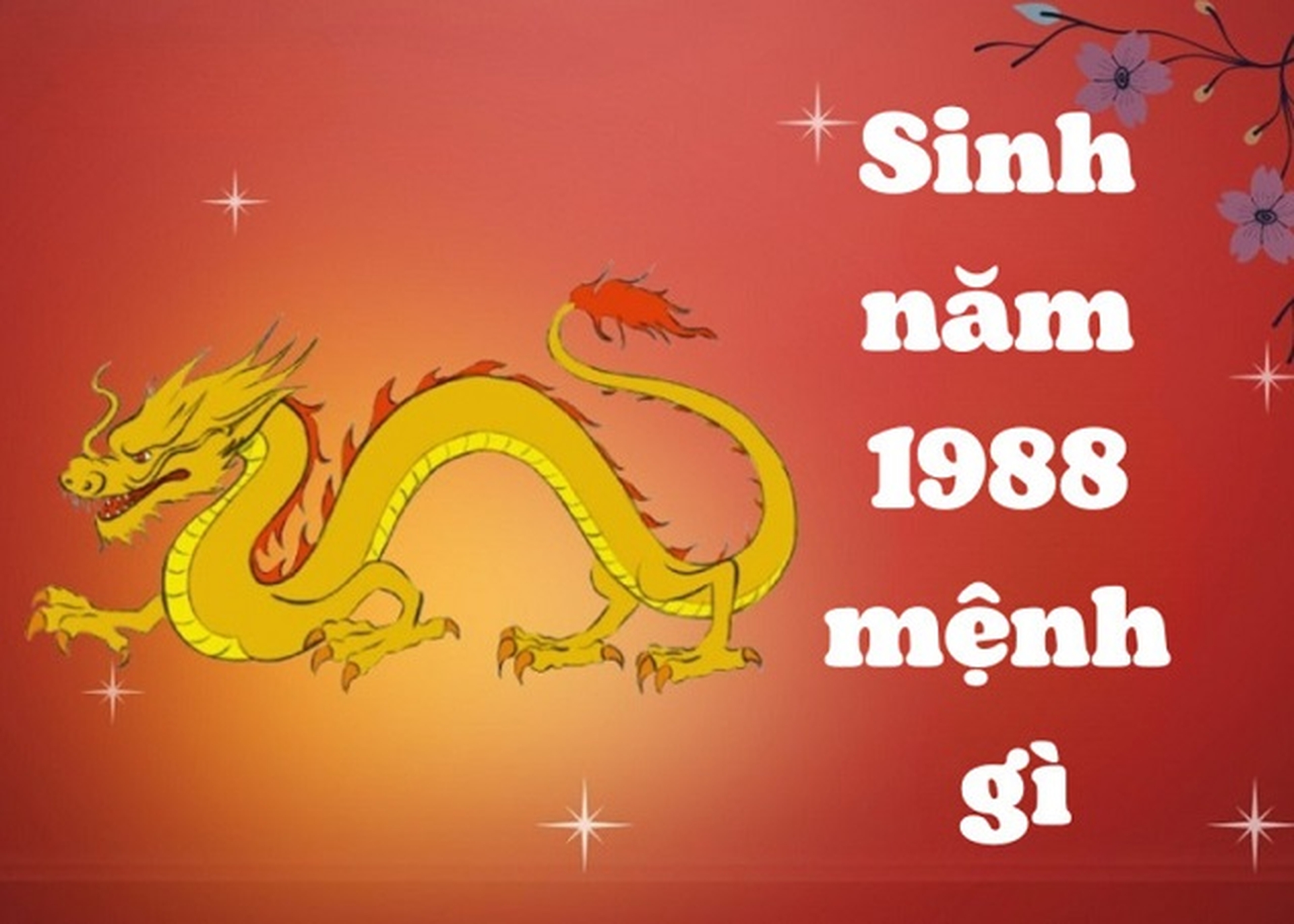 Người sinh năm 1988 mệnh gì? Tuổi con gì? Hợp với tuổi nào? Tính cách của người tuổi Thìn 1988