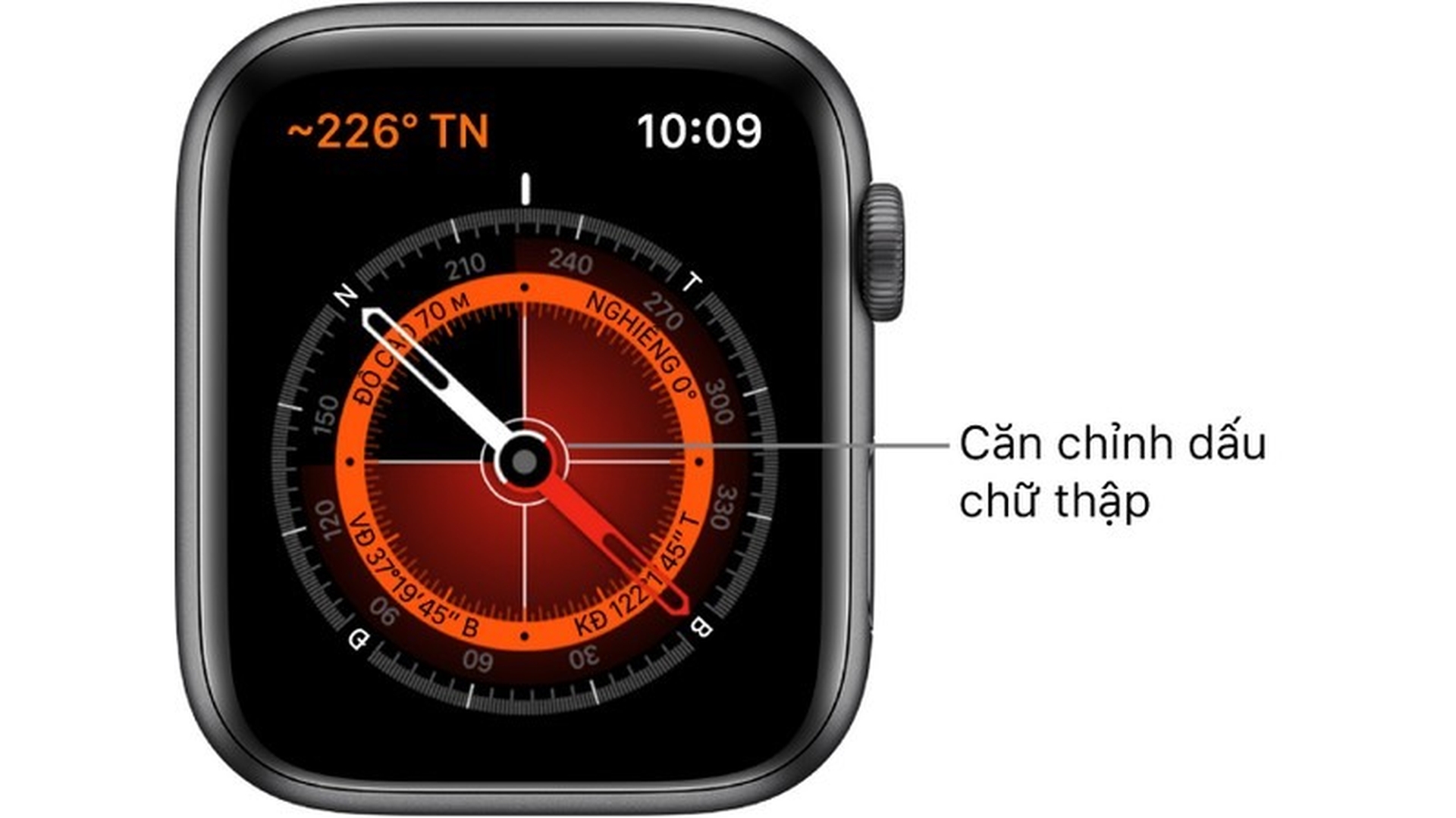 Các nhãn nút Bật/Tắt trên watchOS 6