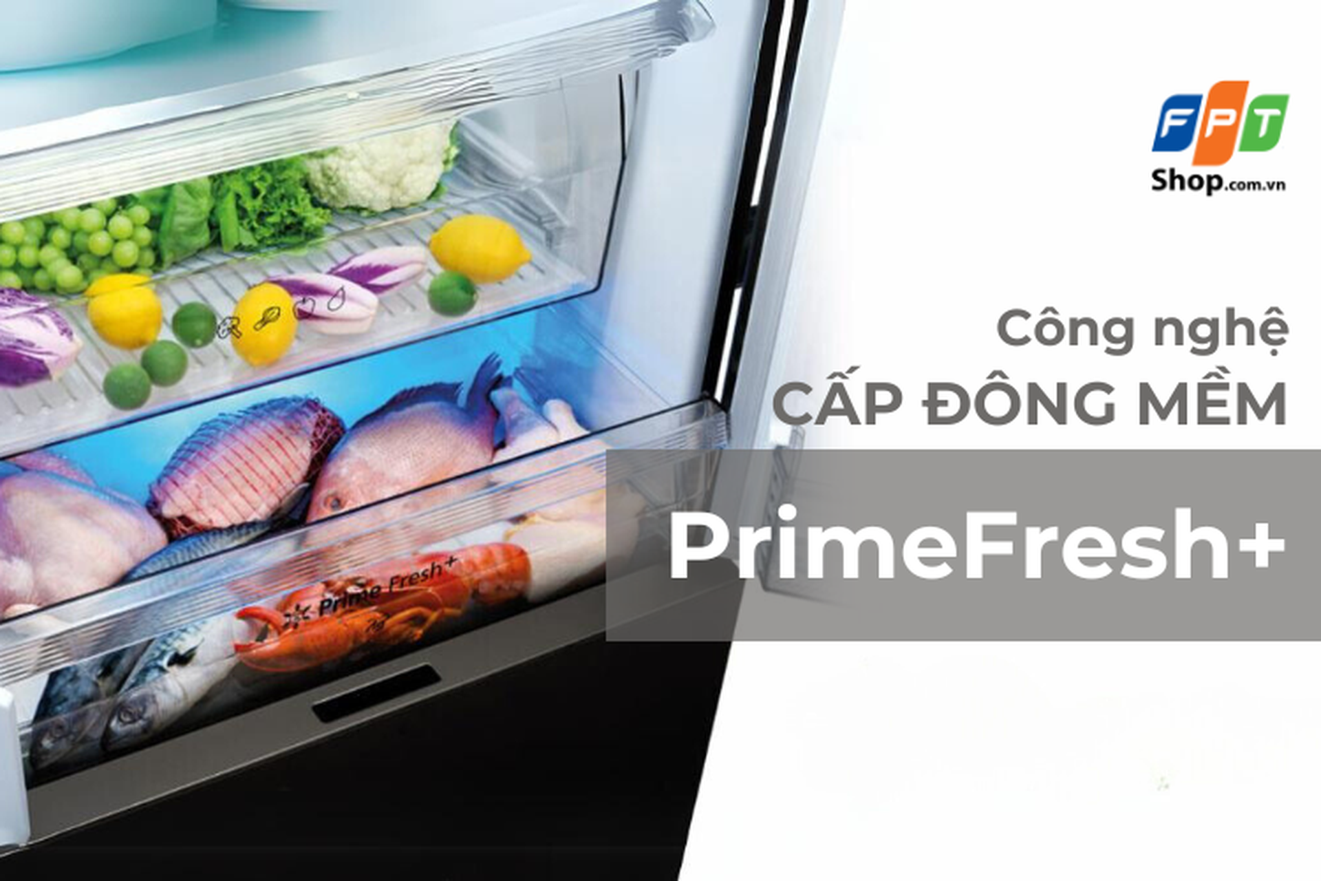  Cấp đông mềm Prime Fresh+: Công nghệ ưu việt trong việc bảo quản thực phẩm tươi sống