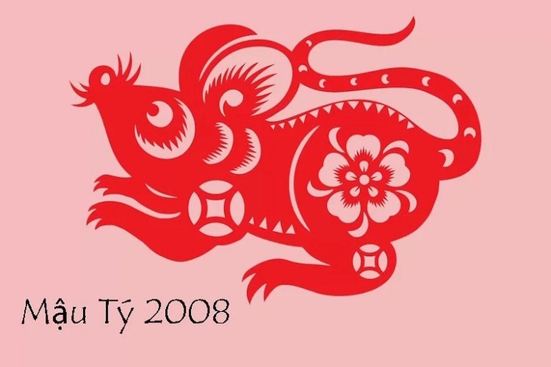 2008 là năm con gì? Tất tần tật về người Mậu Tý 2008