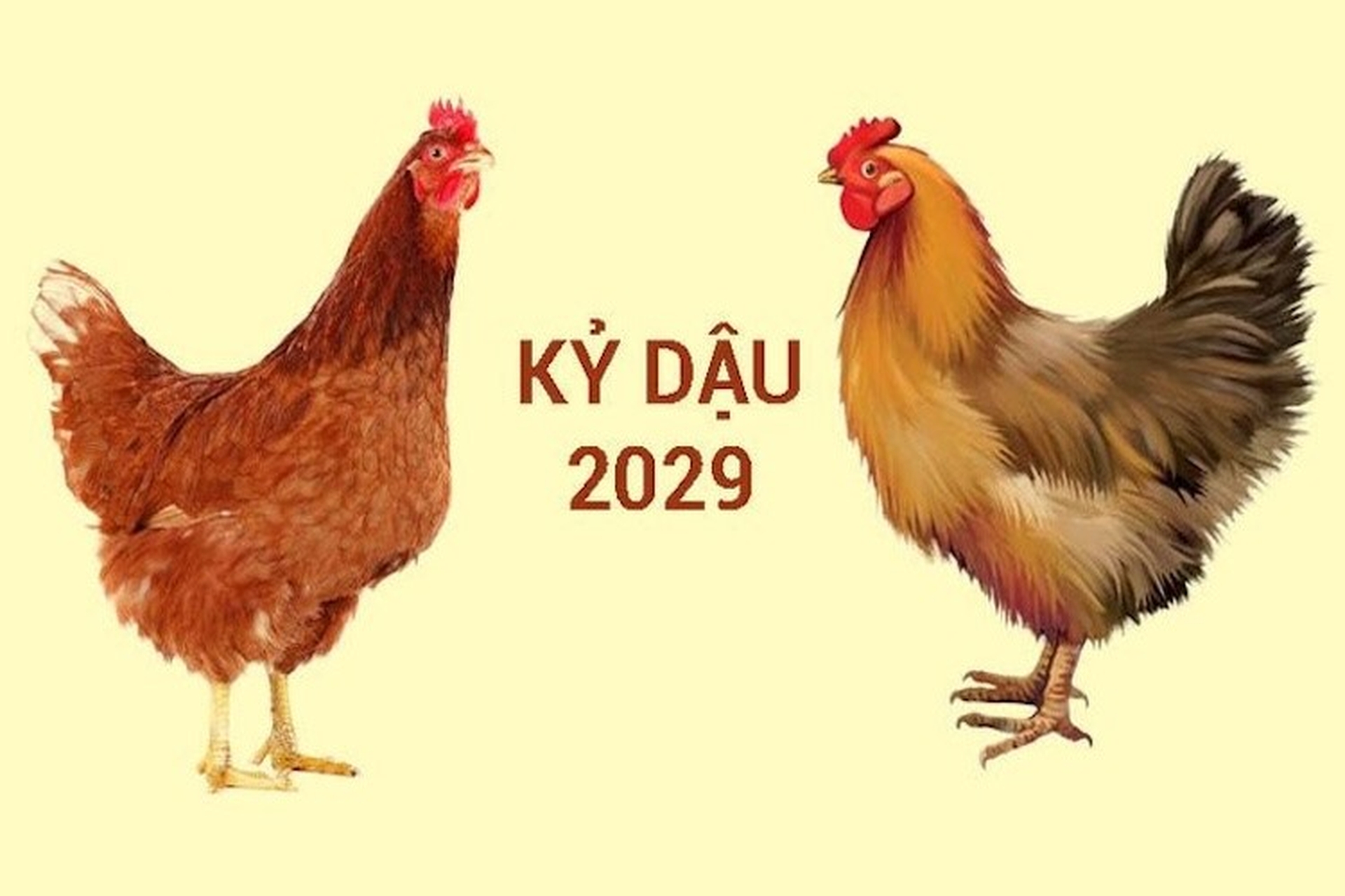 2029 là năm con gì? Người sinh năm 2029 mệnh và cung nào?