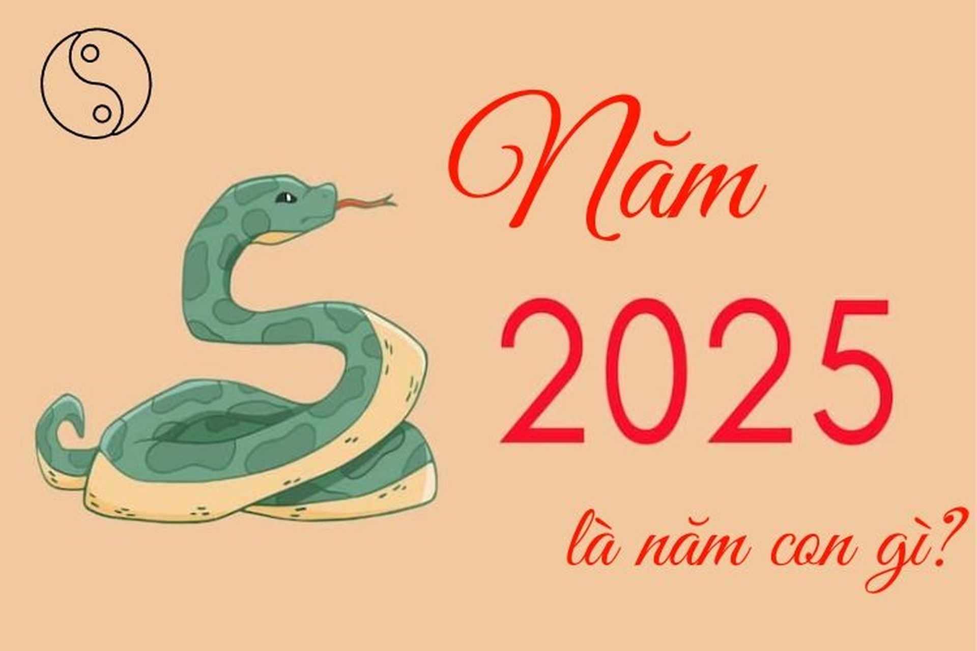 "Năm này năm con gì 2025": Khám phá tuổi và mệnh Ất Tỵ