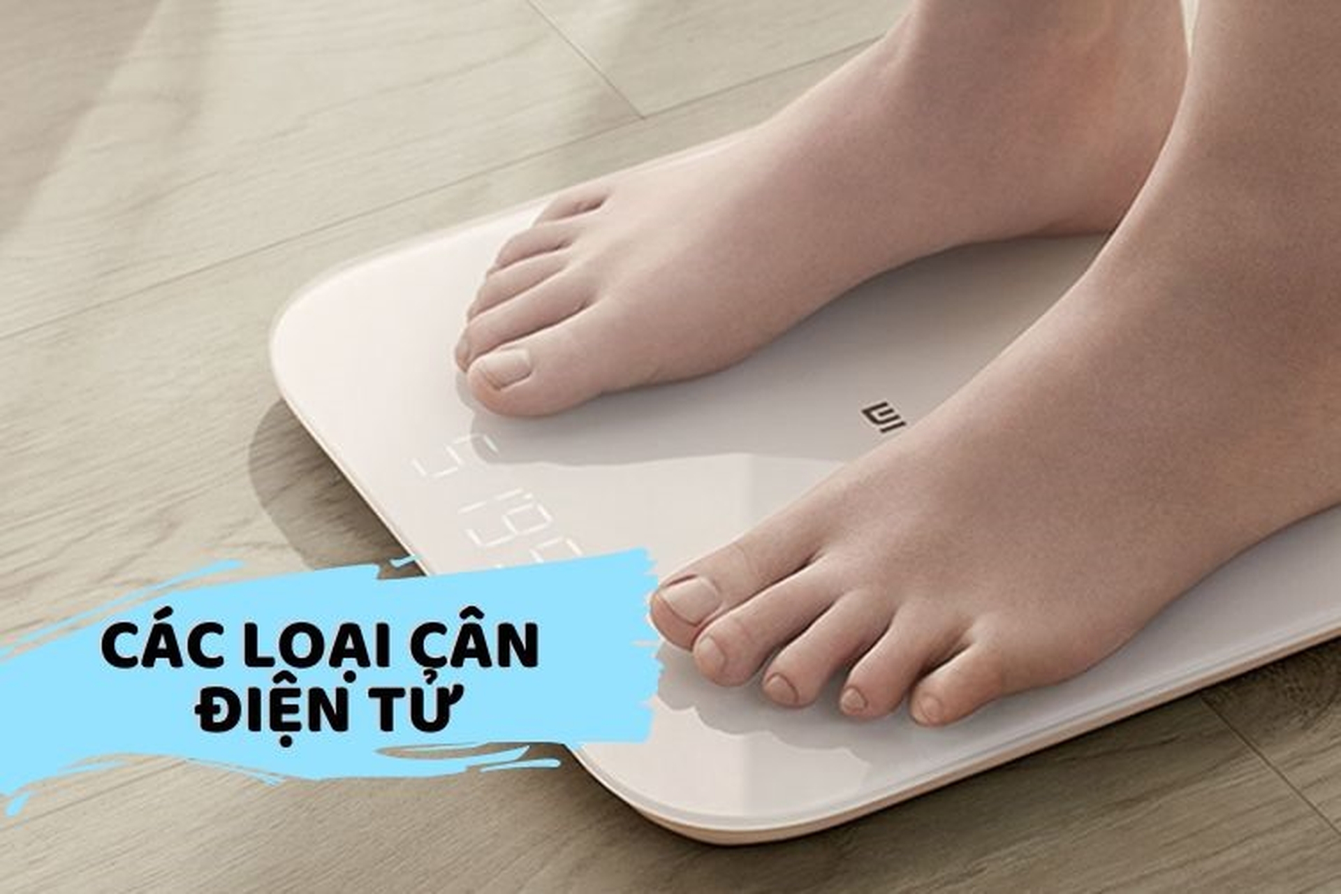 Phân biệt các loại cân điện tử hiện nay. Gợi ý 3 mẫu cân hot 2023