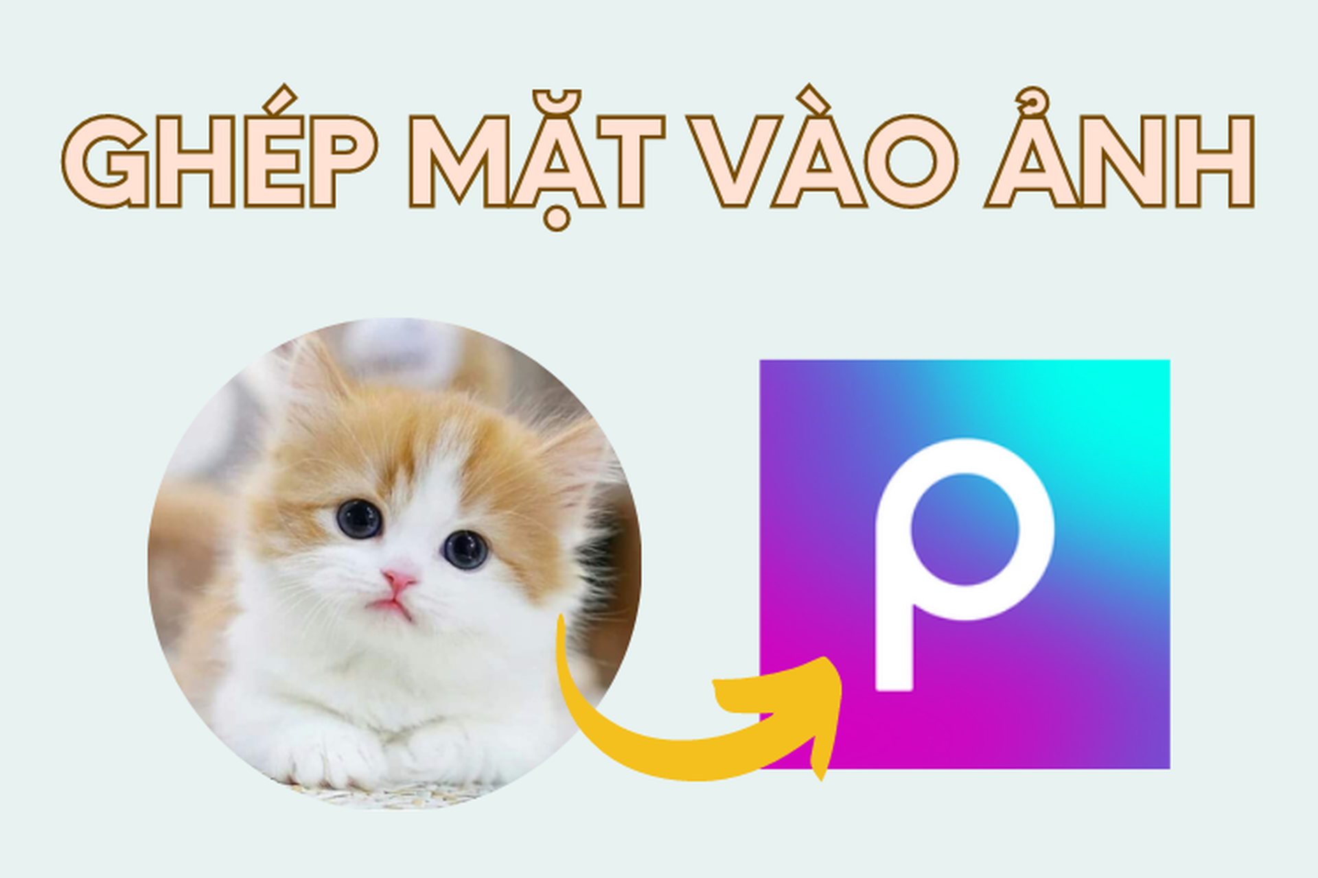 Kết Luận: Ghép Mặt Bằng PicsArt Trên Máy Tính