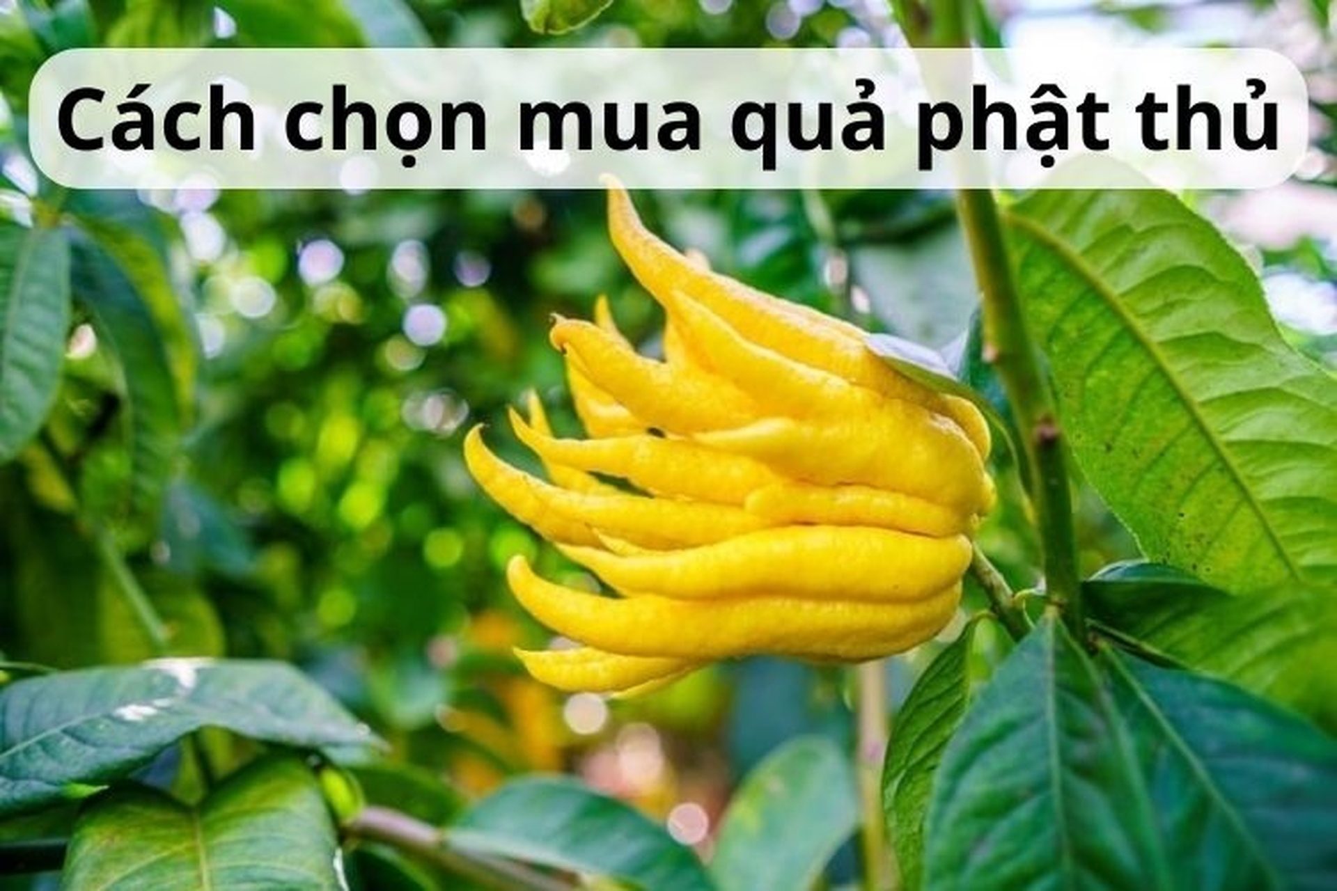 6. Kết luận và những lời khuyên cuối cùng