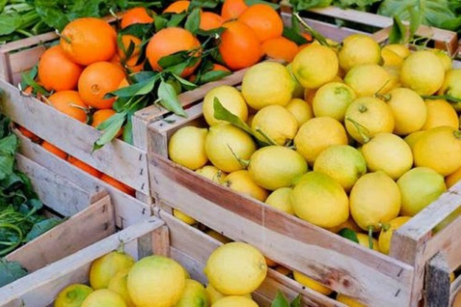 Mách bạn cách bảo quản trái cây đi xa và một số lưu ý bạn cần biết khi vận chuyển trái cây đường dài