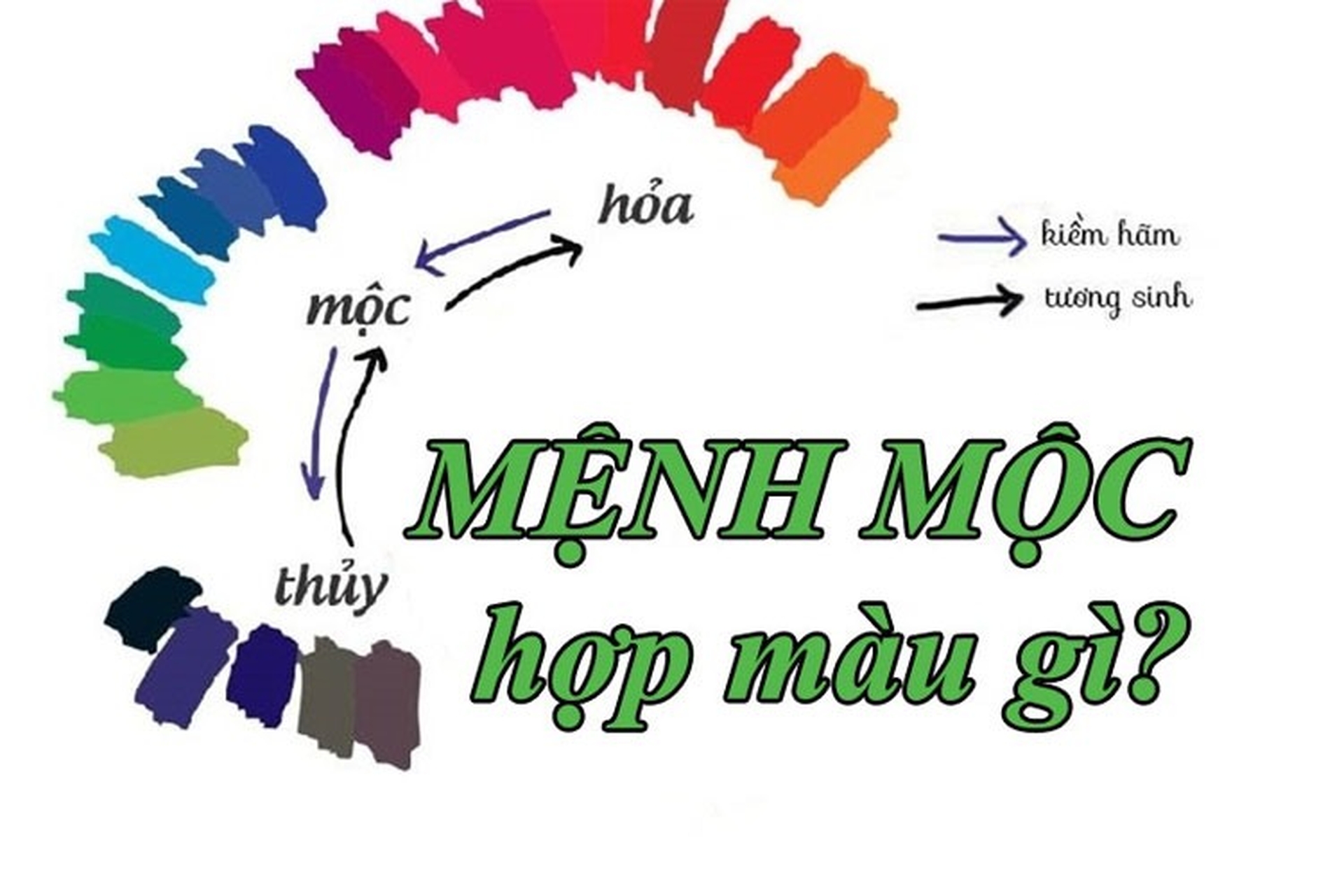 Mệnh mộc hợp màu gì?