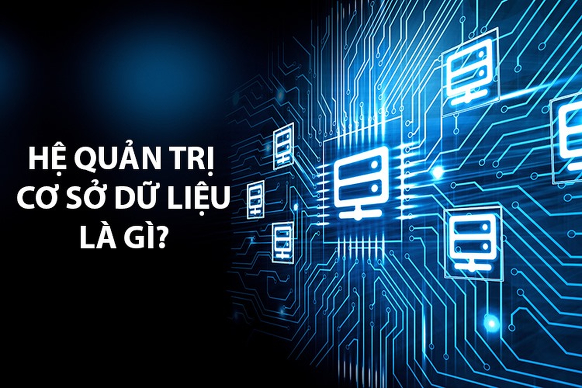 Ứng dụng của DBMS trong thực tế