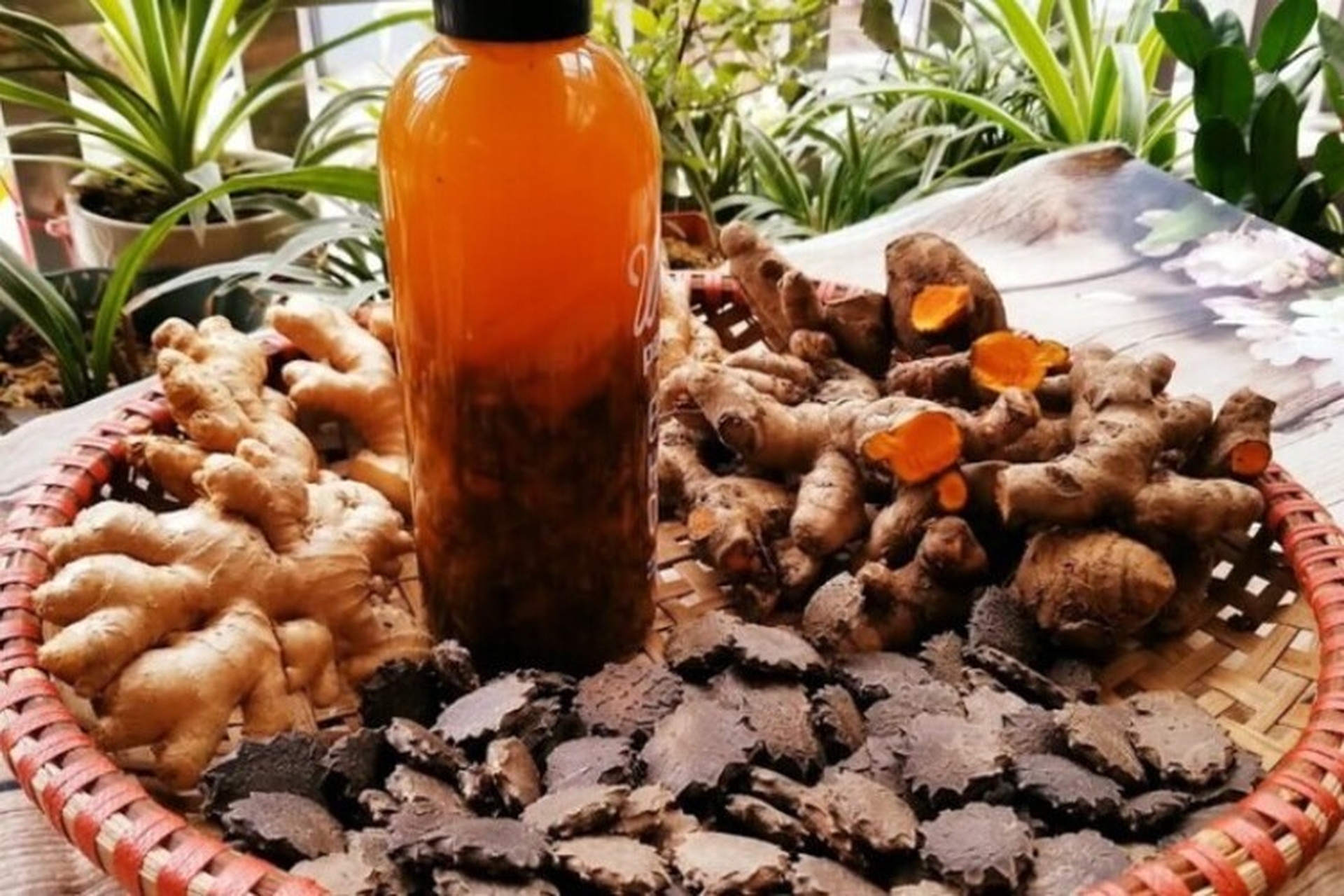 Gợi ý các cách ngâm rượu xoa bóp xương khớp giảm đau nhức cực hiệu quả theo bài thuốc dân gian