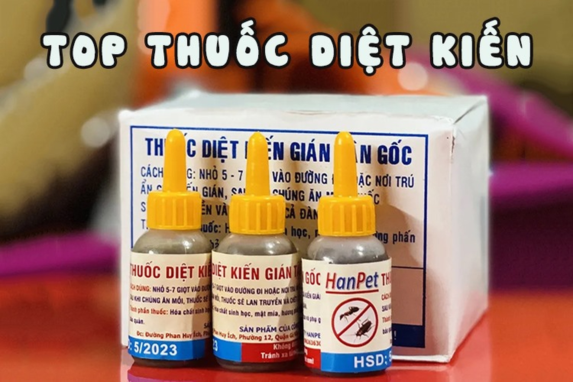 Thuốc Diệt Kiến Loại Nào Tốt? Hướng Dẫn Chọn Mua Đúng Cách