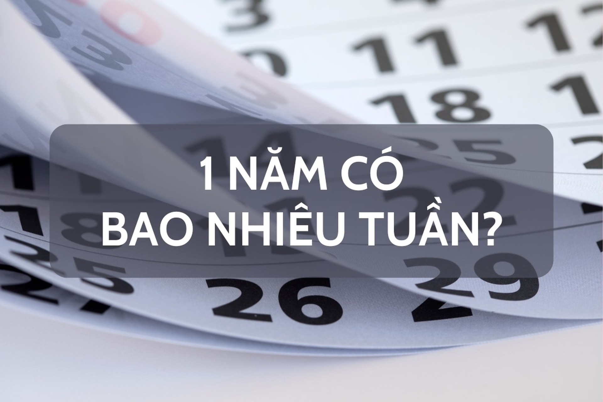 Một năm có bao nhiêu tuần và mấy ngày? Cách tính chính xác và những điều thú vị