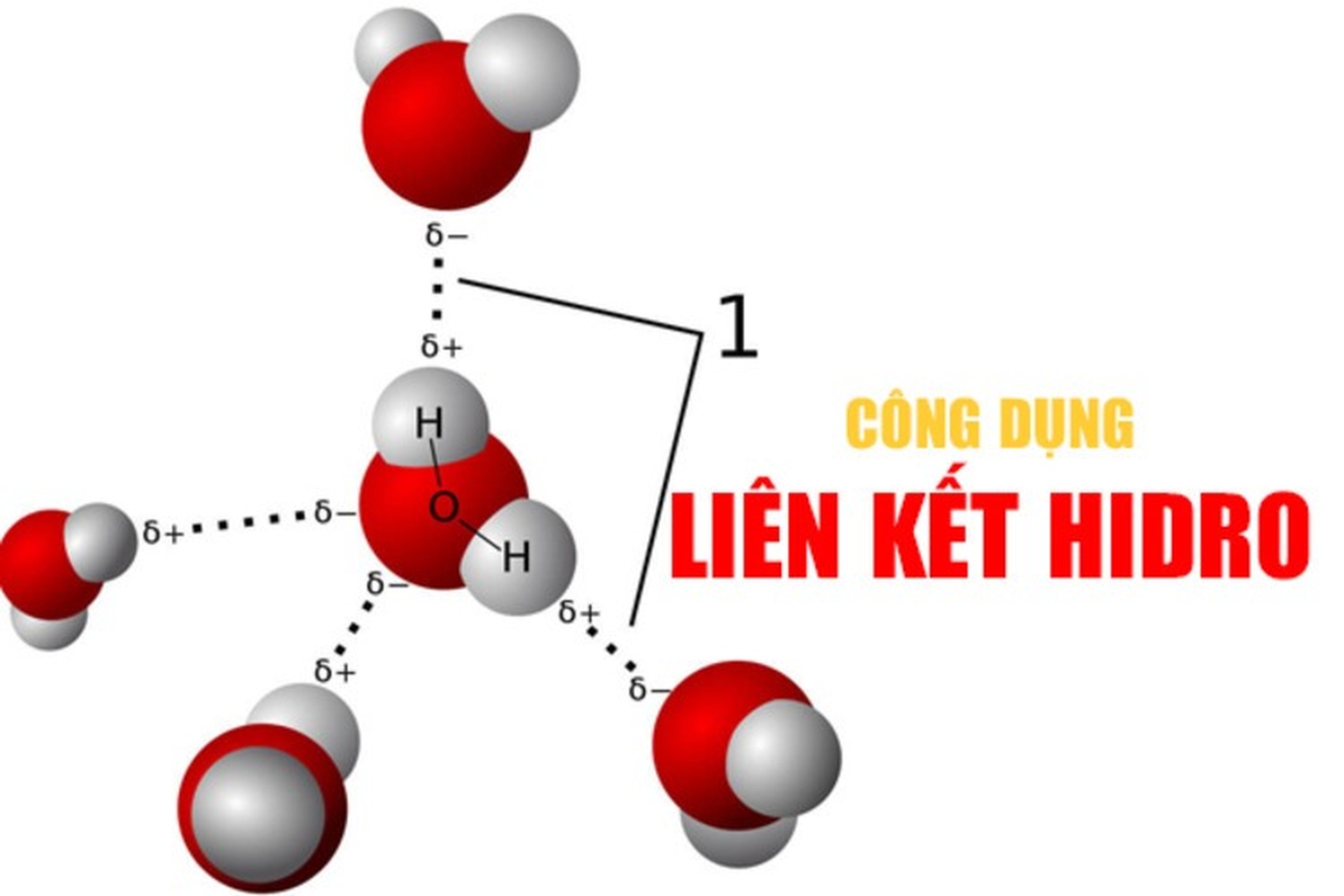 Liên Kết Hydrogen Là Gì? Khái Niệm, Đặc Điểm và Ứng Dụng Trong Đời Sống
