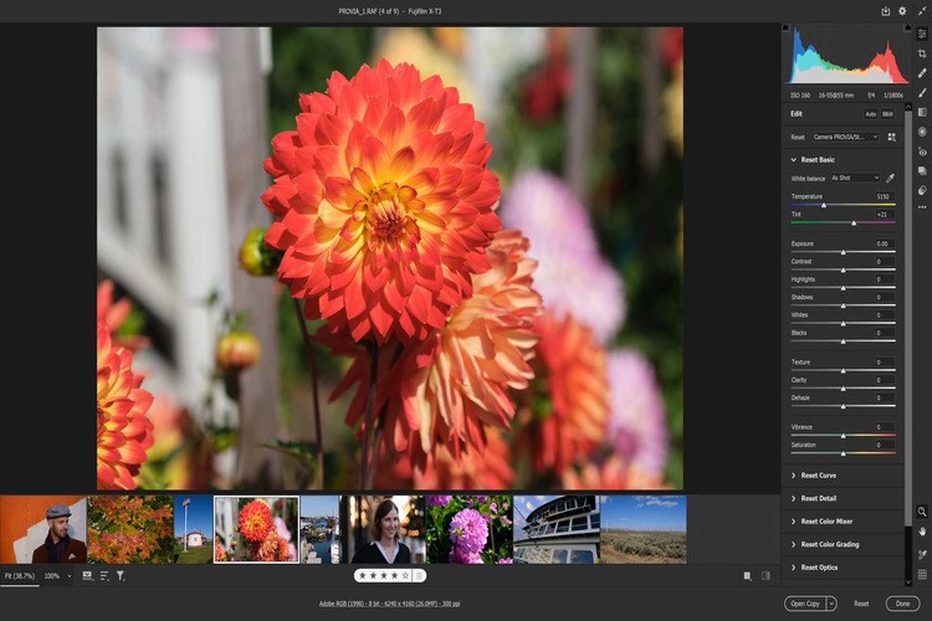 Hướng dẫn cách sử dụng Adobe Camera Raw - Công cụ chuyên dùng để sửa tệp Raw trong Photoshop