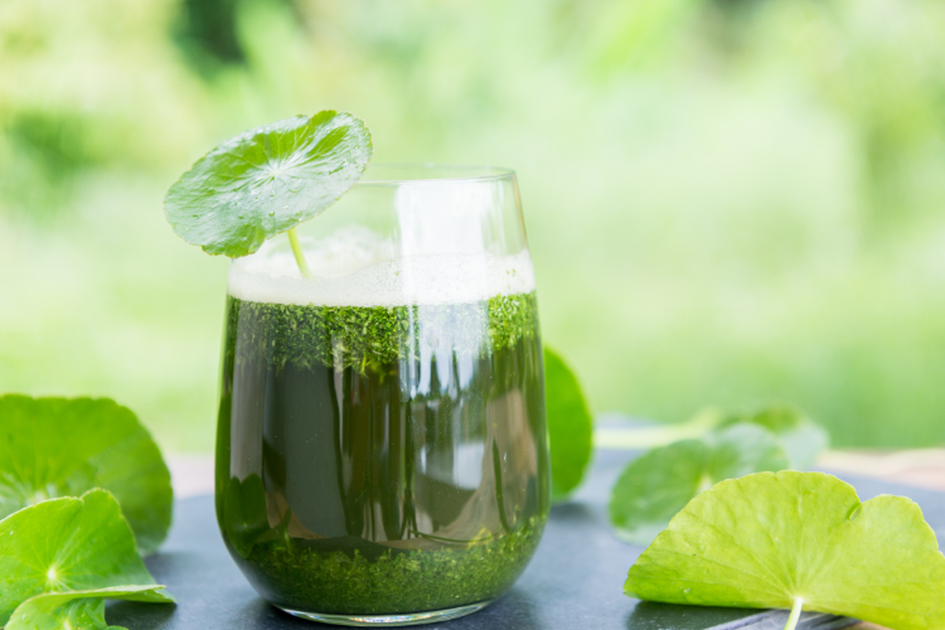 Nước rau má để được bao lâu? Mẹo nhỏ giúp nước rau má tươi lâu mà không mất chất