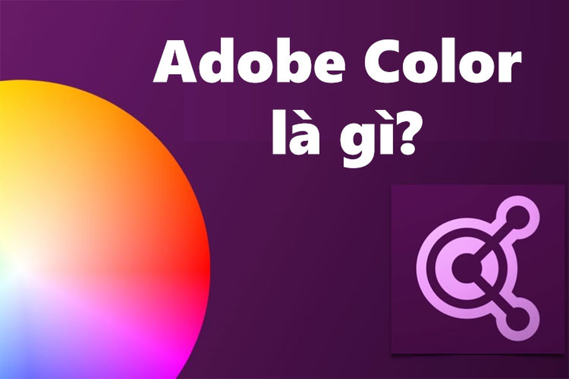 Adobe Color là gì và sử dụng thế nào? Khám phá công cụ phối màu hiệu quả dành cho dân thiết kế