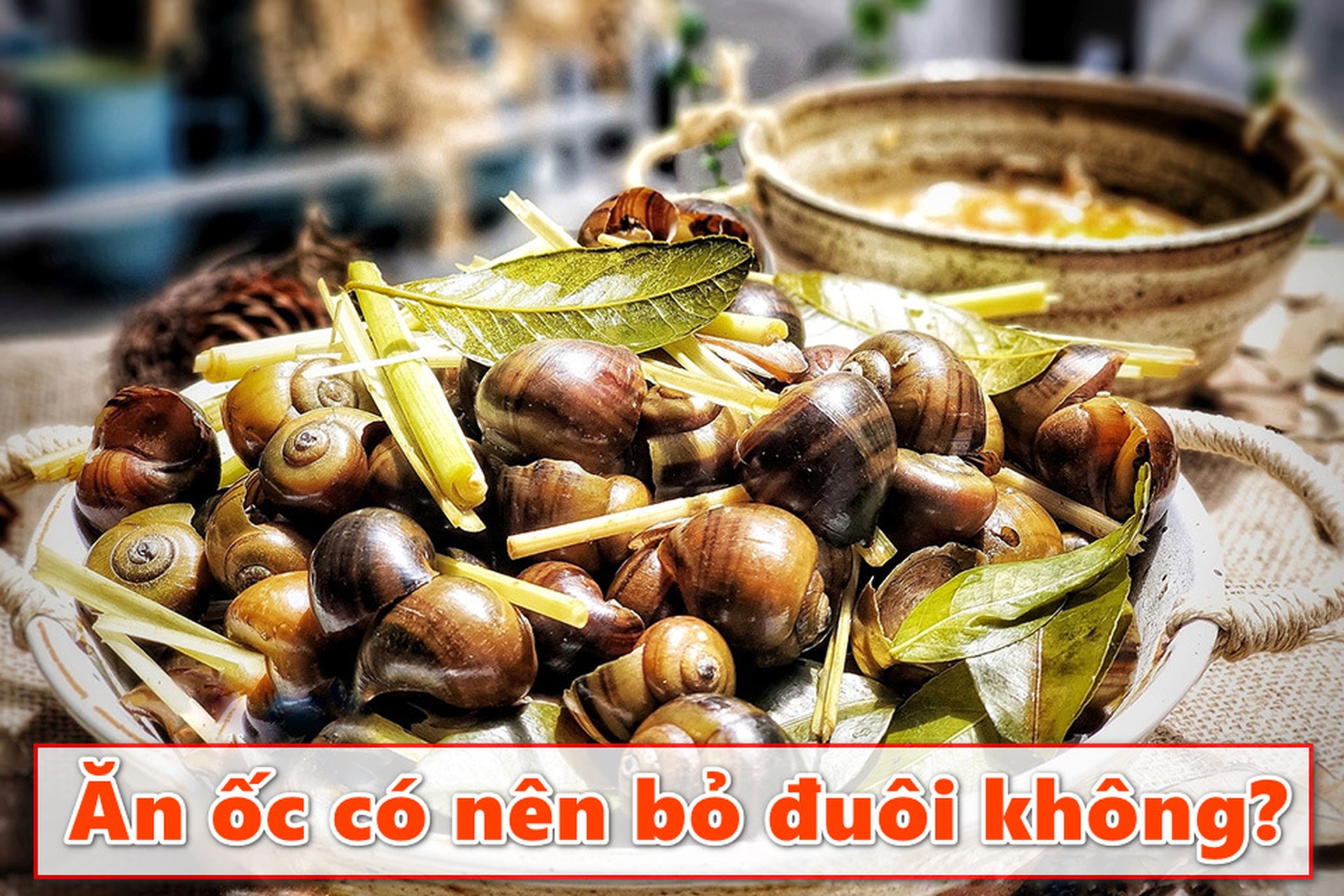 Ăn ốc có nên bỏ đuôi không? Những điều bạn cần biết để thưởng thức đúng cách