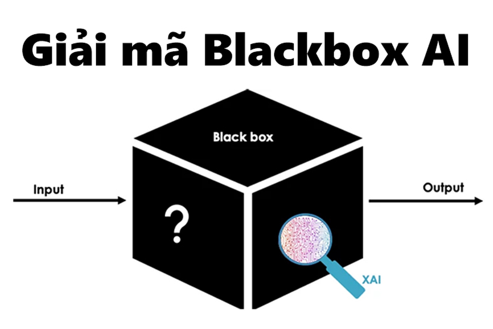 Blackbox AI là gì? Giải mã những điều thú vị đằng sau hệ thống trí tuệ nhân tạo này