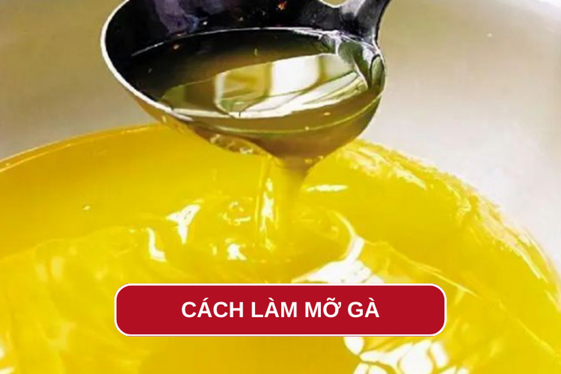 Mách bạn cách làm mỡ gà béo ngậy, vàng óng dễ dàng tại nhà để sử dụng lâu dài