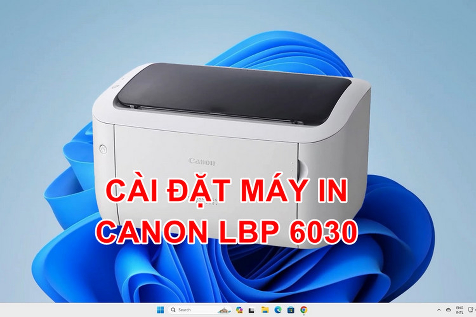 Cài đặt máy in Canon LBP 6030: Hướng dẫn các bước cài đặt chi tiết ai cũng làm được
