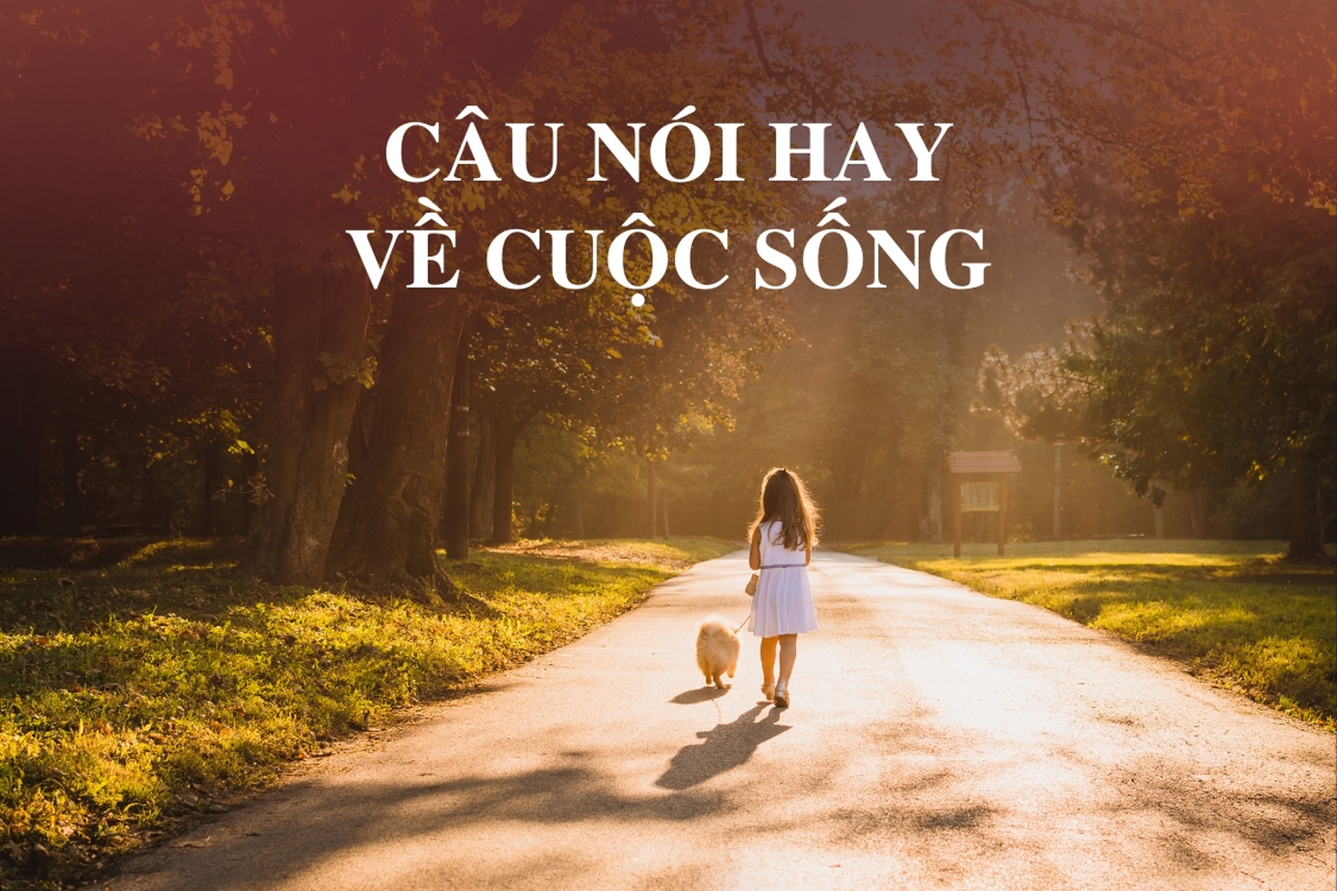 Những Câu Nói Tiếng Anh Hay Về Học Tập Và Cuộc Sống