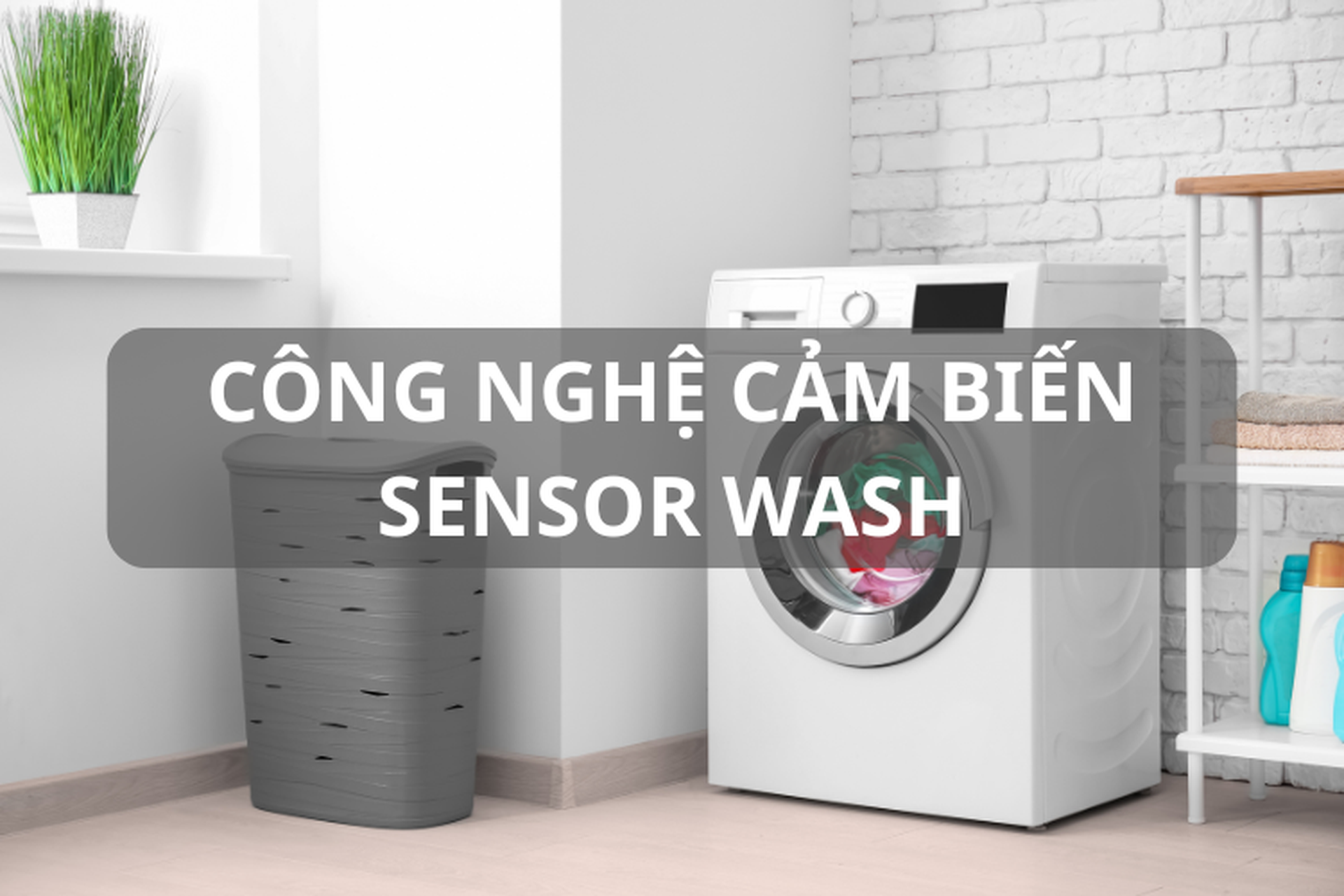 Khám phá công nghệ cảm biến Sensor Wash là gì? Lợi ích và những model máy giặt có tính năng này