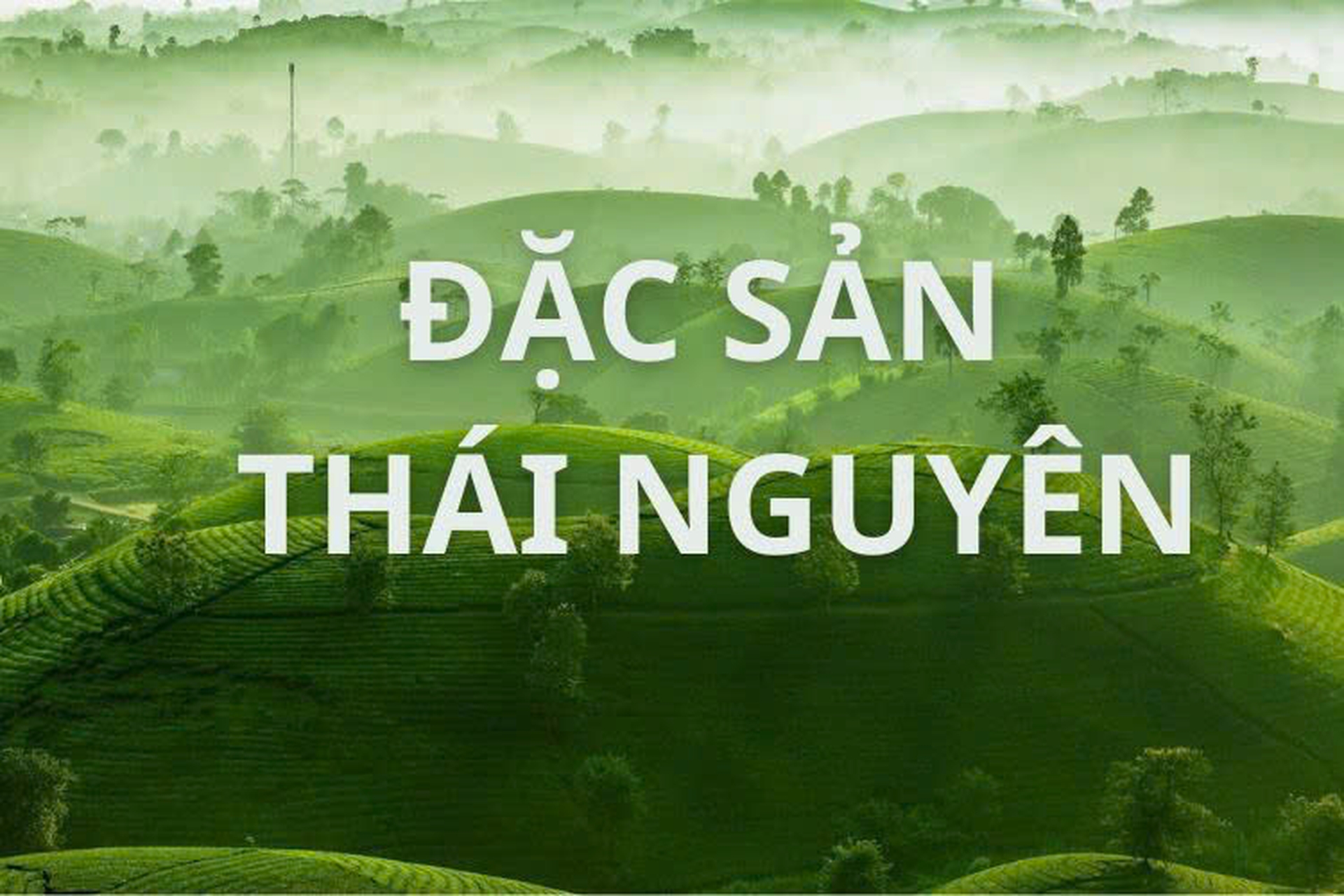 Top 10 món ngon đặc sản Thái Nguyên nên thưởng thức và mua làm quà khi du lịch 