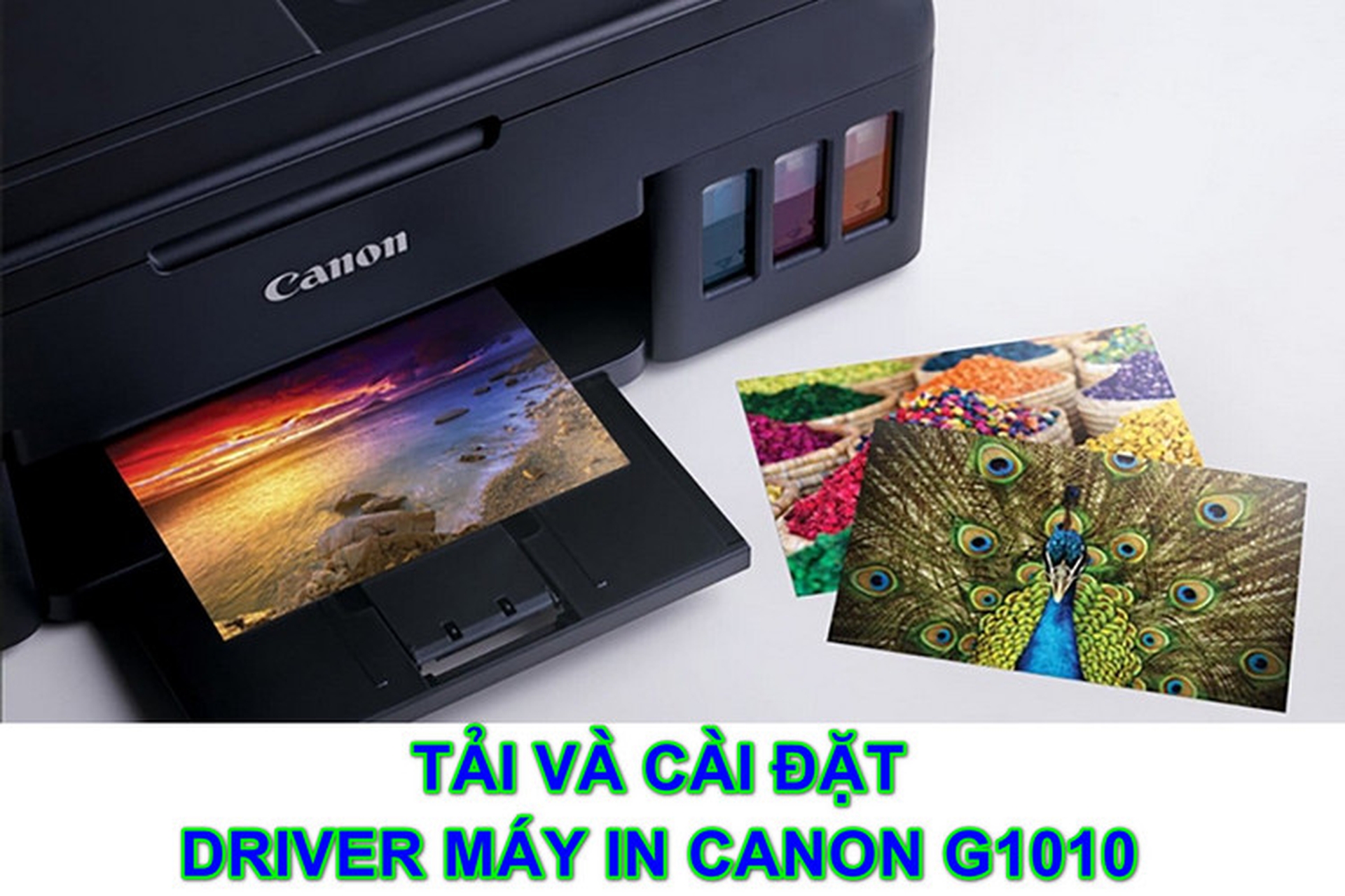 Driver máy in Canon G1010: Hướng dẫn tải và cài đặt thành công 100% cho người mới