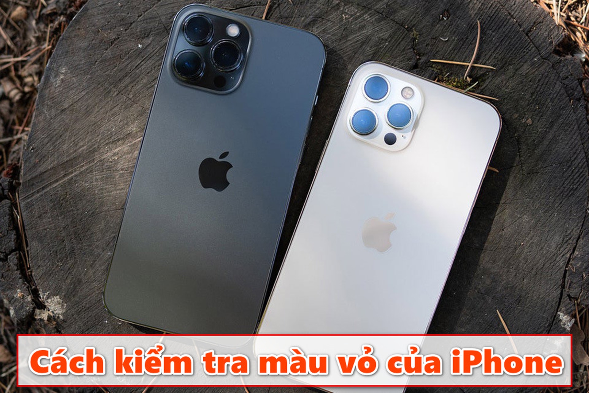Hướng dẫn chi tiết cách kiểm tra màu vỏ của iPhone để xác định hàng chính hãng