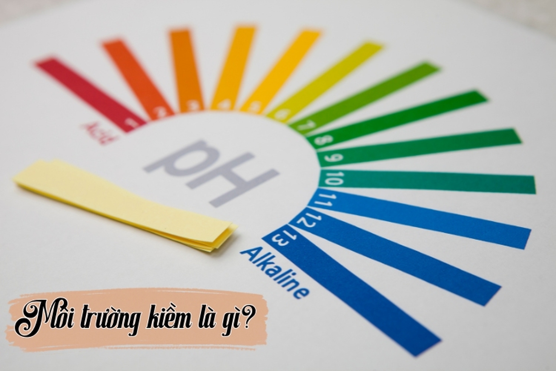 Môi trường kiềm là gì? Vai trò, tác hại thiếu hụt của môi trường kiềm và gợi ý sản phẩm hỗ trợ