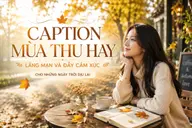 Caption mùa thu hay, lãng mạn và đầy cảm xúc cho những ngày trời dịu lại