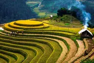 Hà Giang mùa nào đẹp nhất? Khám phá vẻ đẹp bốn mùa để chọn thời điểm du lịch lý tưởng