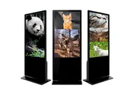 Màn hình quảng cáo chân đứng là gì? Top màn hình phổ biến trên thị trường hiện nay