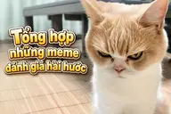 Meme đánh giá là gì? Tổng hợp những meme đánh giá hài hước được chia sẻ nhiều trên mạng xã hội