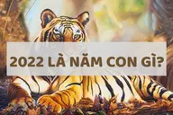 Năm 2022 là năm con gì? Thuộc mệnh nào? Khám phá tính cách và màu sắc phù hợp