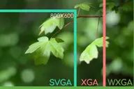 WXGA là gì? Giải thích chi tiết độ phân giải WXGA và thiết bị phù hợp hiện nay