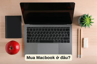 Nên mua MacBook ở đâu uy tín, giá tốt đảm bảo chất lượng? Những dòng MacBook đang được ưa chuộng hiện nay