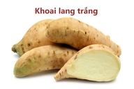 Tìm hiểu về khoai lang trắng - Lợi ích tuyệt vời cho cơ thể và những lưu ý đặc biệt bạn nên biết