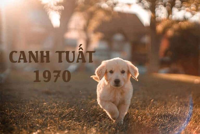 1970 tuoi con gi menh gi