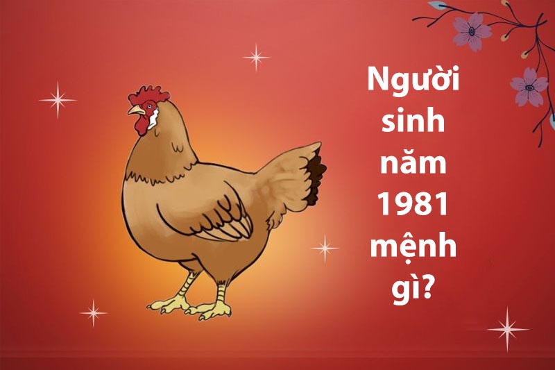 NAM SINH NĂM 1981 HỢP MÀU GÌ