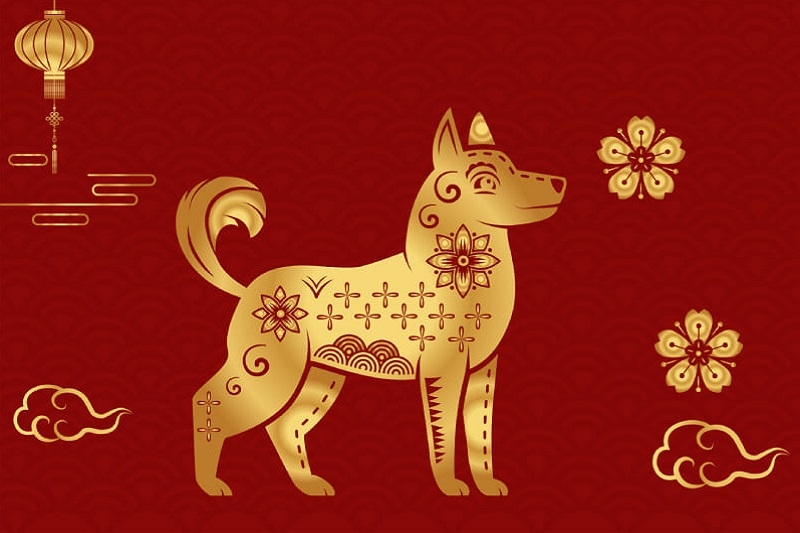 Năm mới 2026, người sinh năm 1982 cần chú ý điều gì?