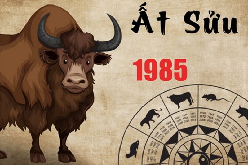 1985 tuổi con gì?