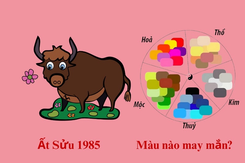 1985 hợp màu gì