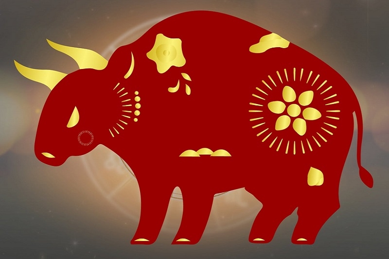 1985 hợp tuổi nào?